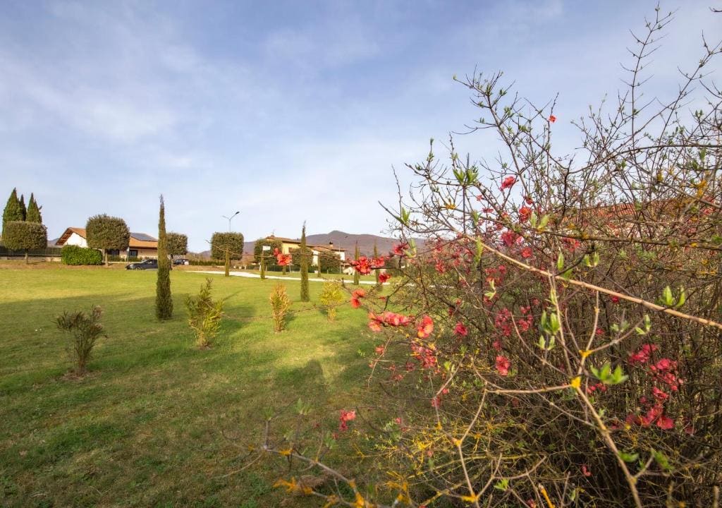 Agriturismo Podere Sant' Agnese - View 7