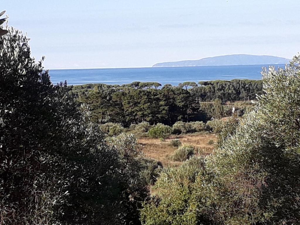 Agriturismo Poggio all'Olivo - View 7