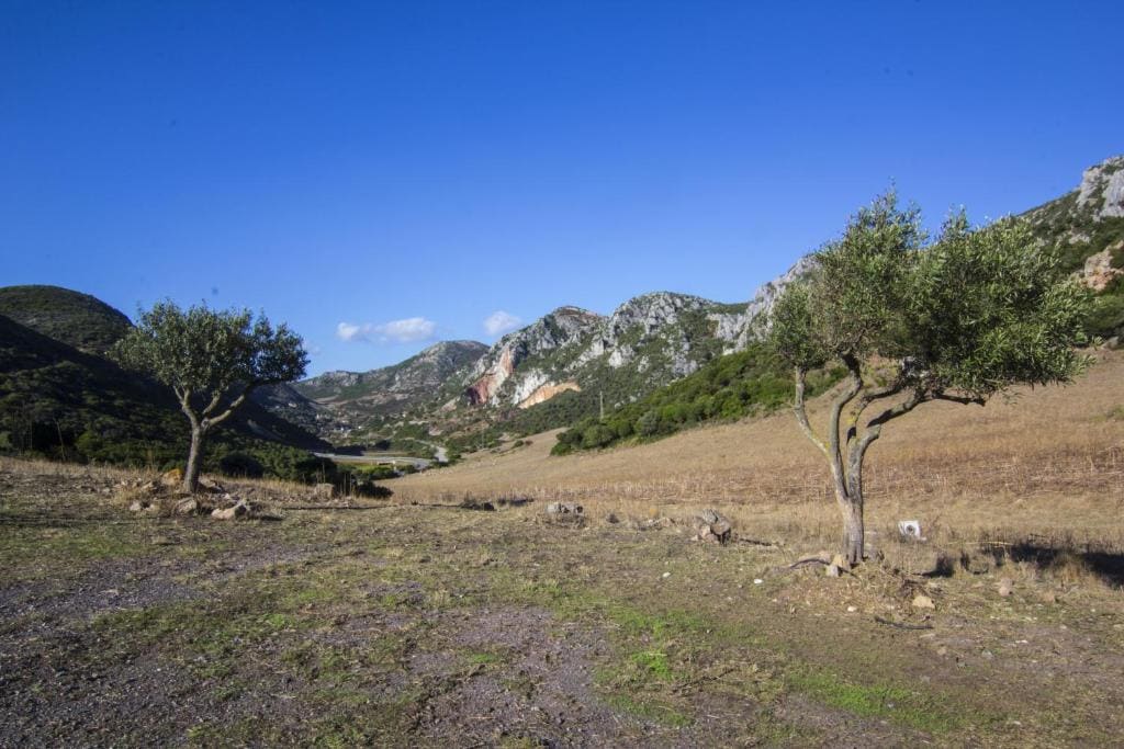 Agriturismo Sa Rocca - View 5