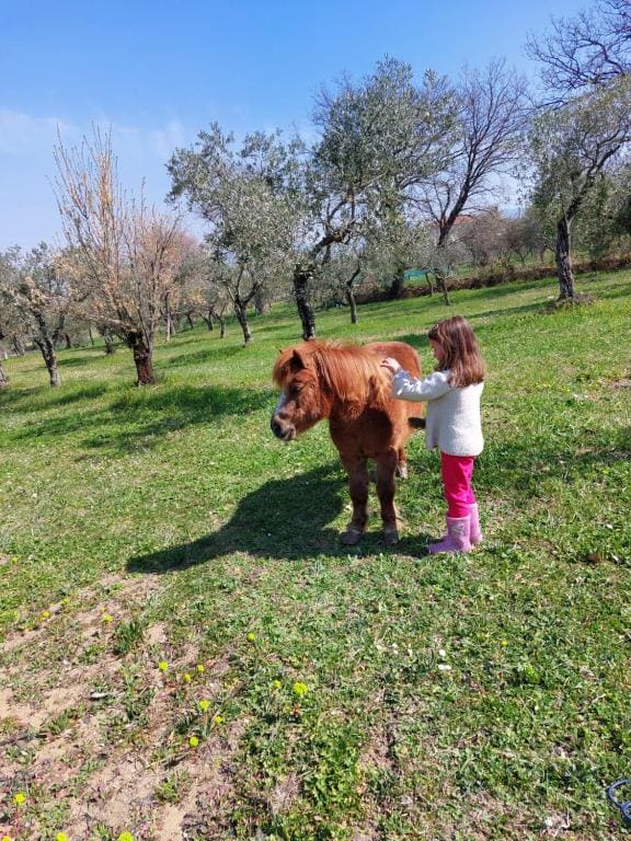 Agriturismo San Marco - View 5