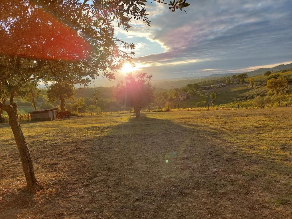 Agriturismo San Marco - View 7