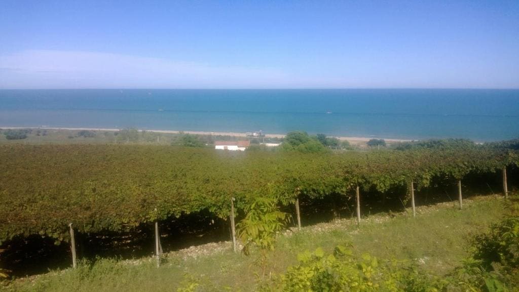 Agriturismo Santo Stefano - View 5