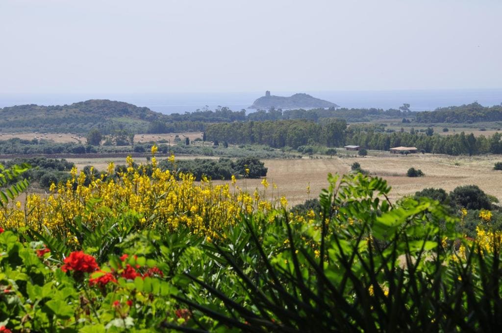 Bed & Breakfast Agriturismo San Macario - View 7
