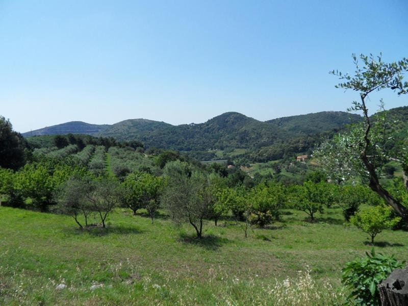 Agriturismo Spazzavento - View 6