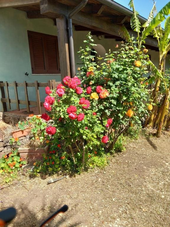 Agriturismo Su Tiresi - View 6
