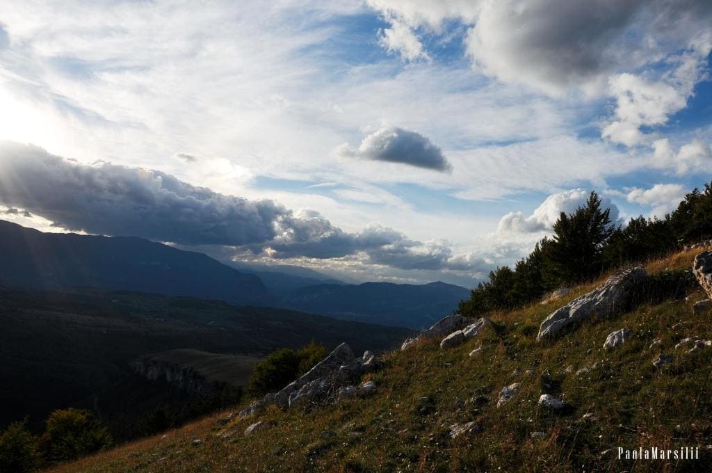Agriturismo Tholos - View 3