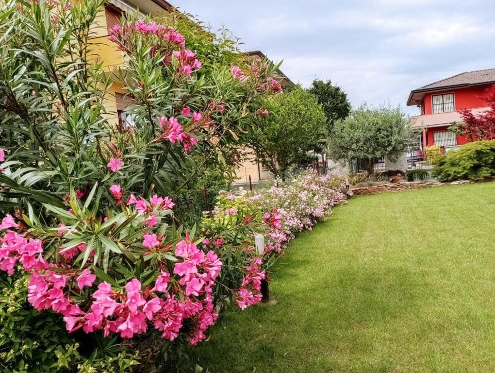 Al Casale B&B - View 7