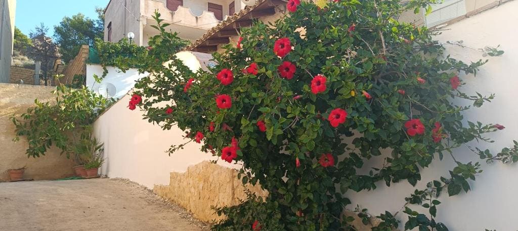 AL FARO - Main view