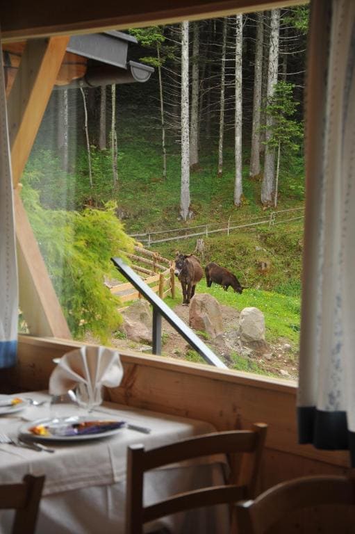 Albergo Garni' Laura - 写真 7