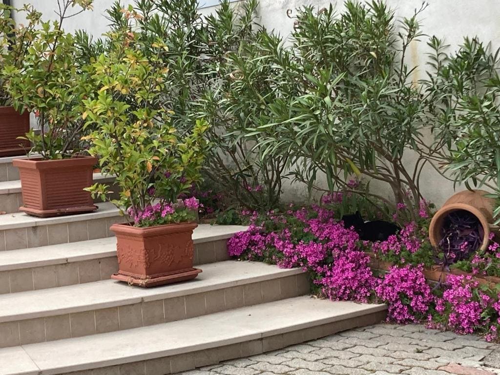 Albergo pensione Bianco - View 3