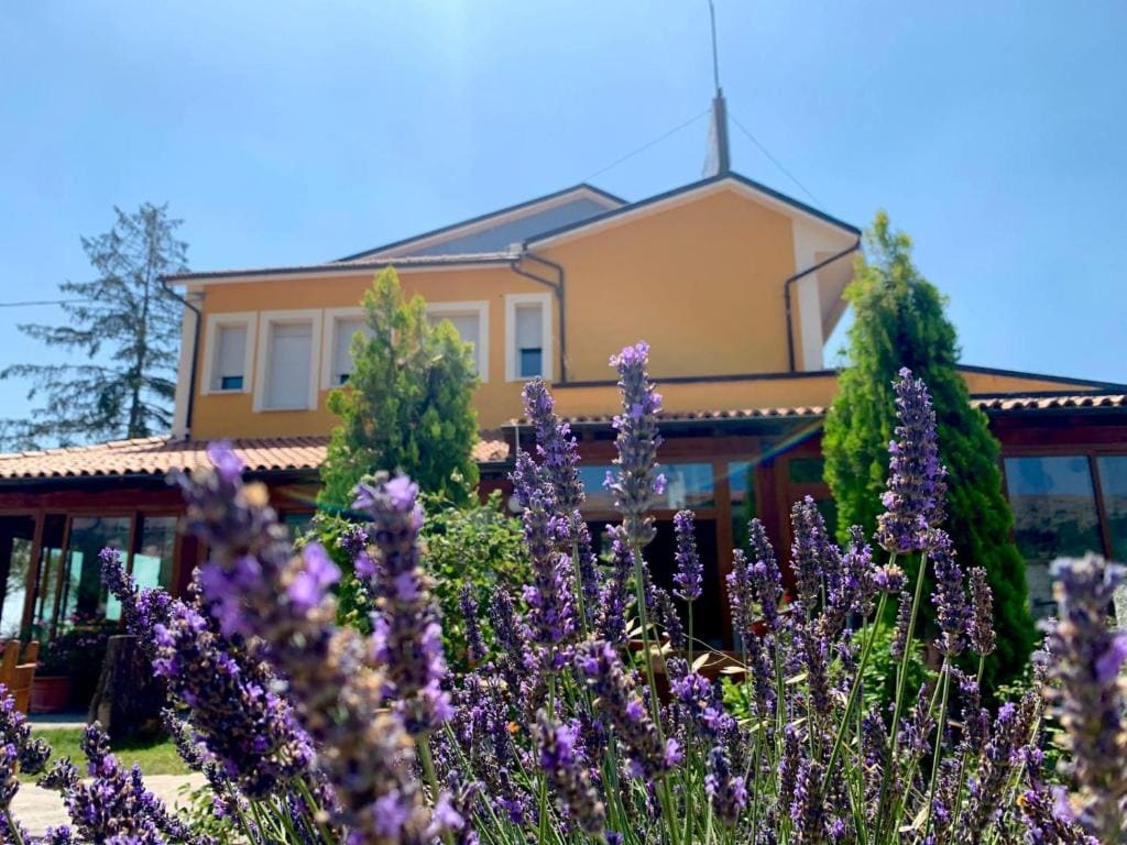 Albergo Ristorante Monte Selva - View 5