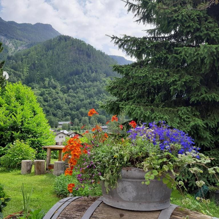 ALPINO B&B — Vue 6