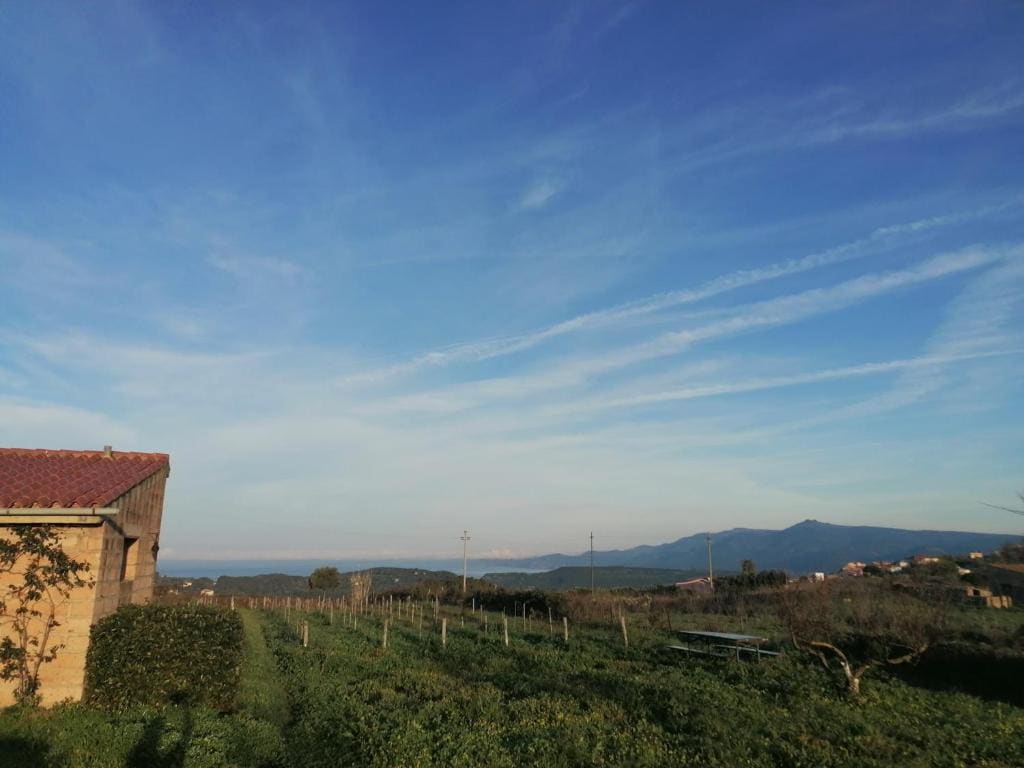 Anima Sarda Bed & Wine - मुख्य व्यू
