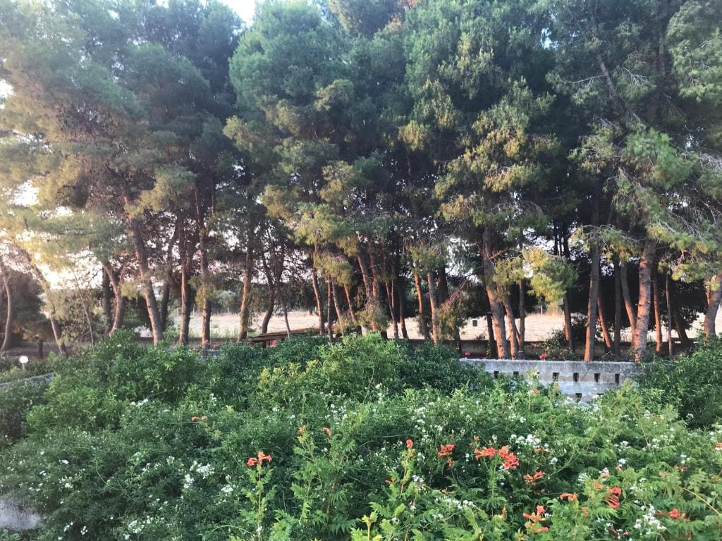 Antica Casina B&B di Charme - View 5