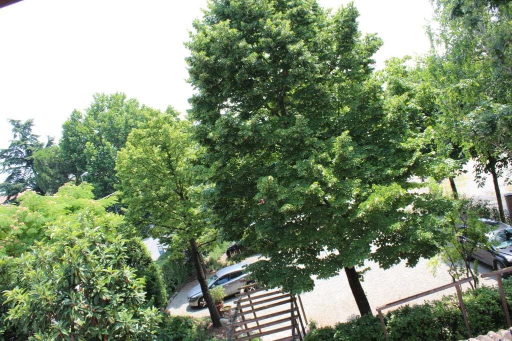 Antica Locanda Il Sole - Vista 7