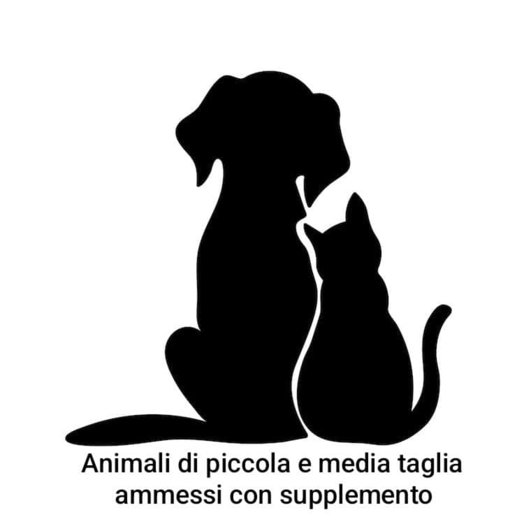 Arra Camere Sirolo - Rooms & Suite - View 2