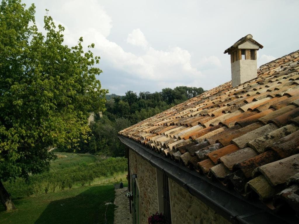 Azienda Agricola Baccagnano - Main view