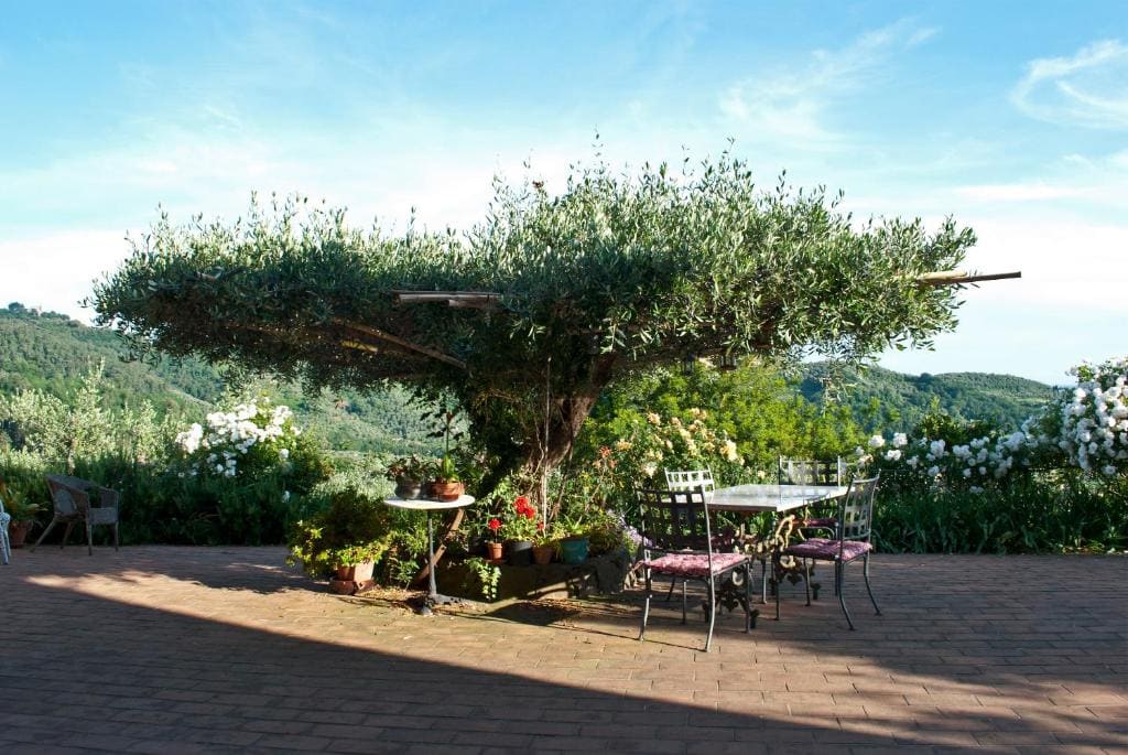 Azienda agricola e Caravan della Mezzaluna - View 7