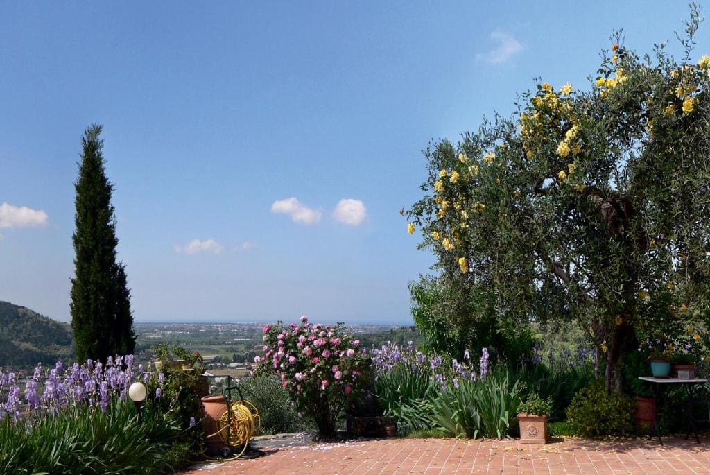 Azienda agricola e Caravan della Mezzaluna - View 6