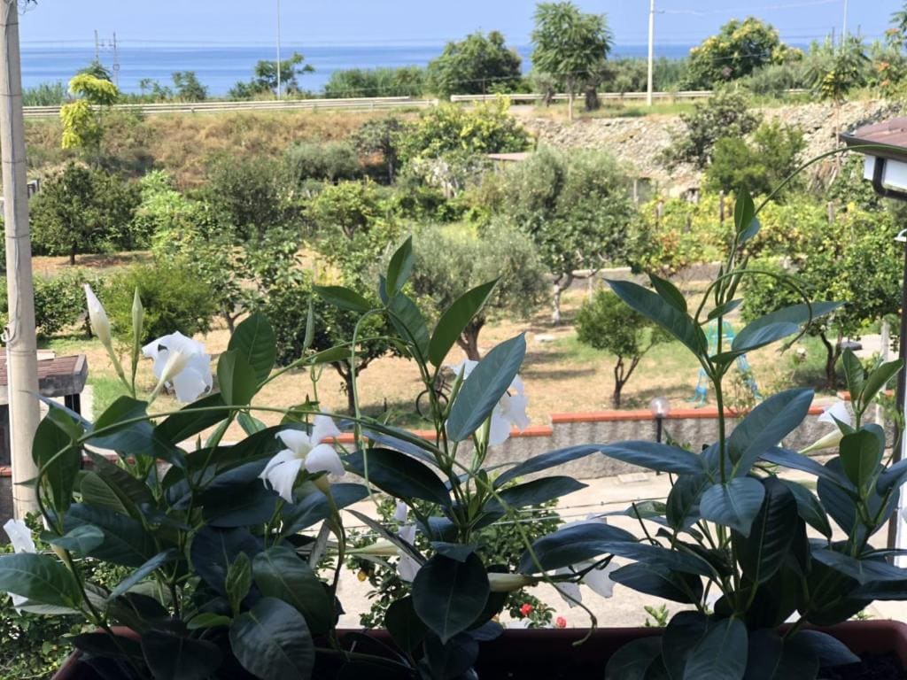 B&B Adele - View 4