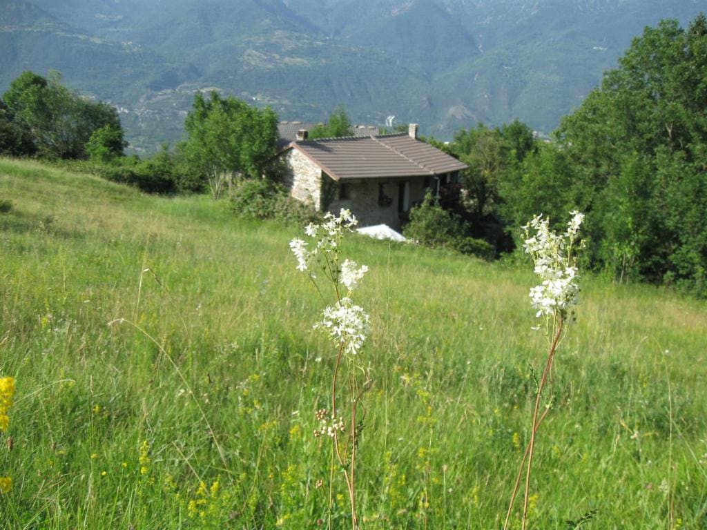 B&B Baita Evelina - View 7