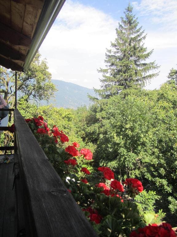 B&B Baita Evelina - View 4