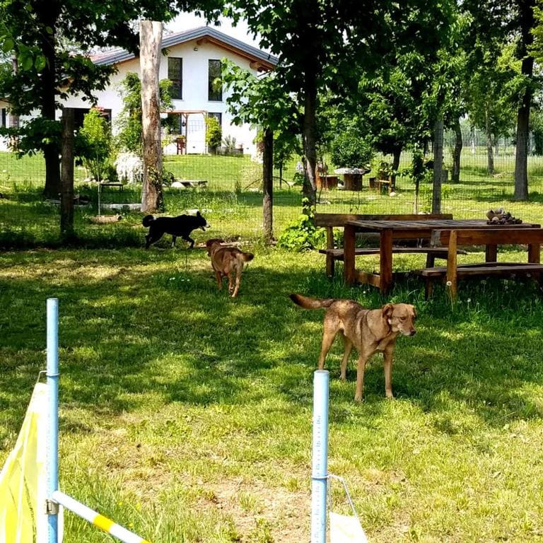B&B Belelì Daramba - View 2