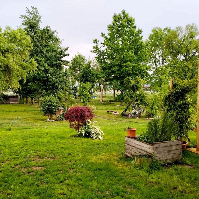 B&B Belelì Daramba - View 4