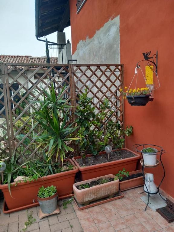 Casa Carolina - View 7