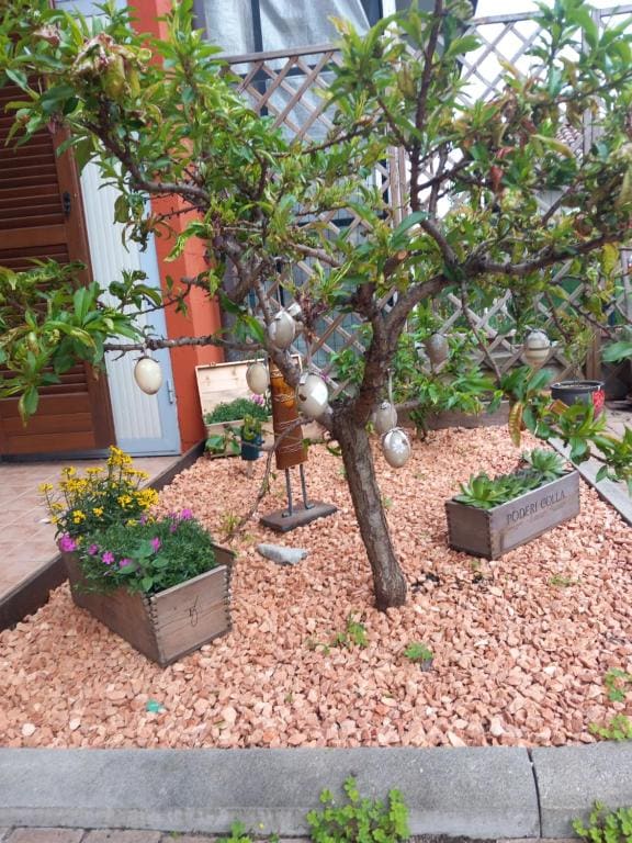 Casa Carolina - View 4