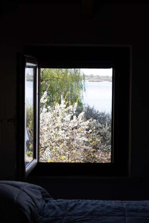 B&B Casanonni Borgo Angeli - View 3