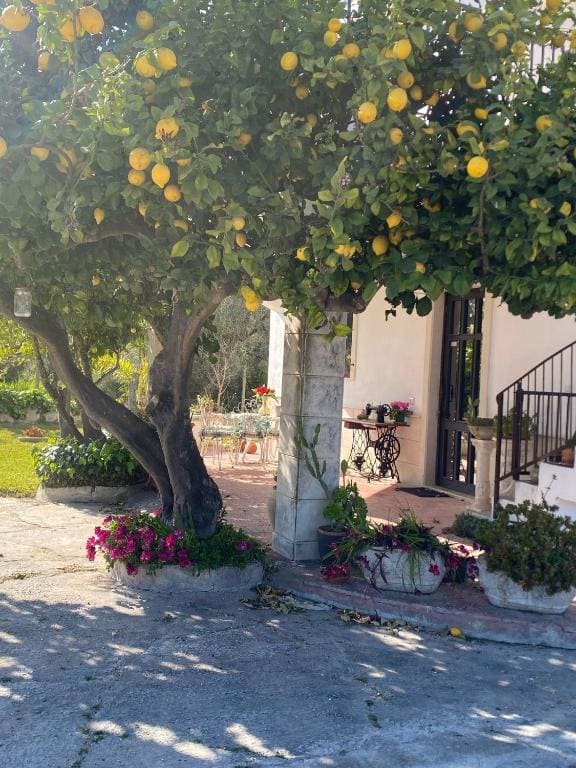 B&B Delle Zolfare - Vista principal