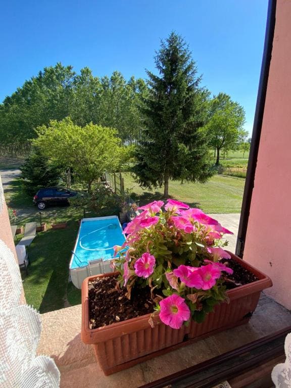 B&B Happiness in the Country - View 5