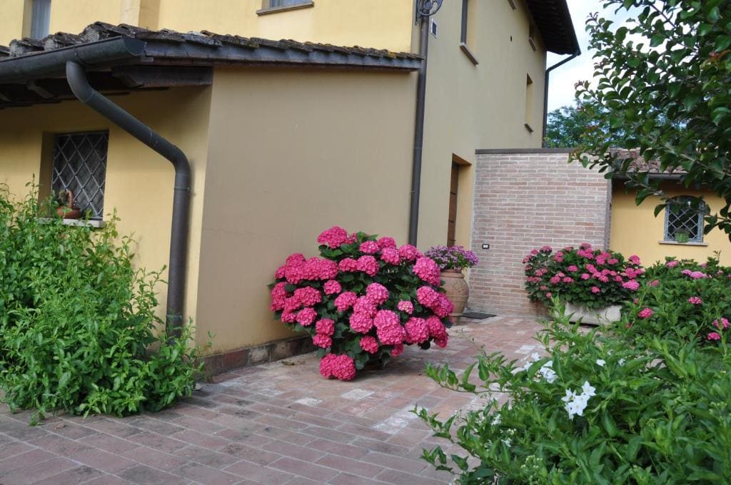 B&B Il Casolare Di Bonci - View 2