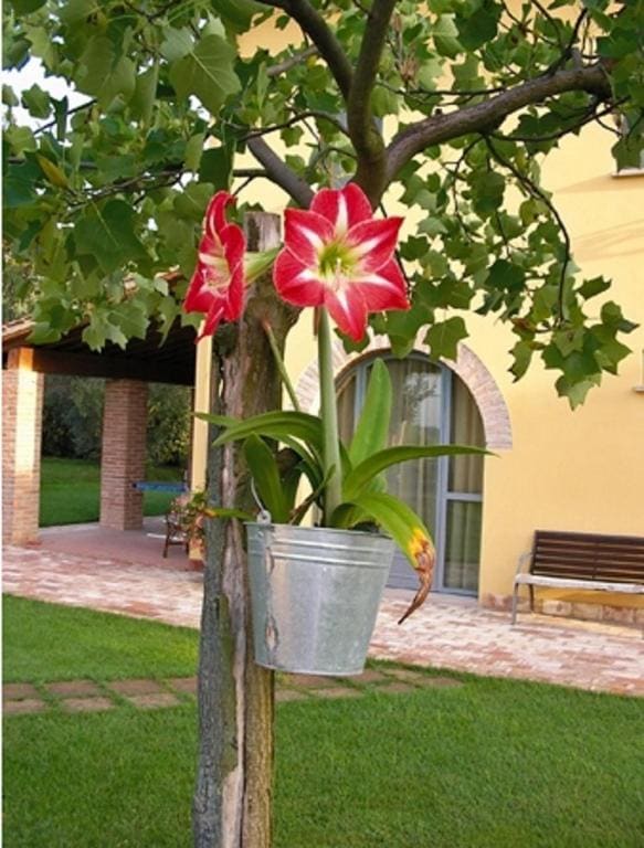 B&B Il Casolare Di Bonci - View 4