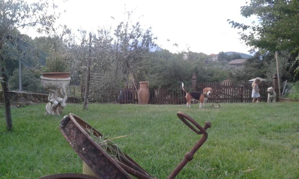 B&B il Feudo - View 4