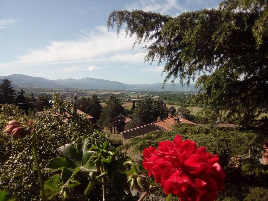 B&B Il Giovine - View 5