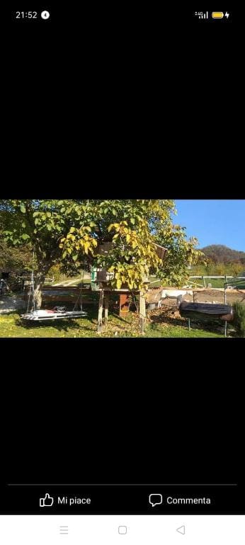 B&B in Fattoria - View 6
