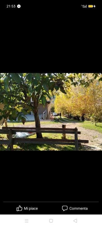 B&B in Fattoria - View 5