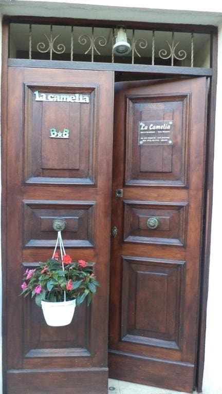 B&B "La Camelia" - View 5