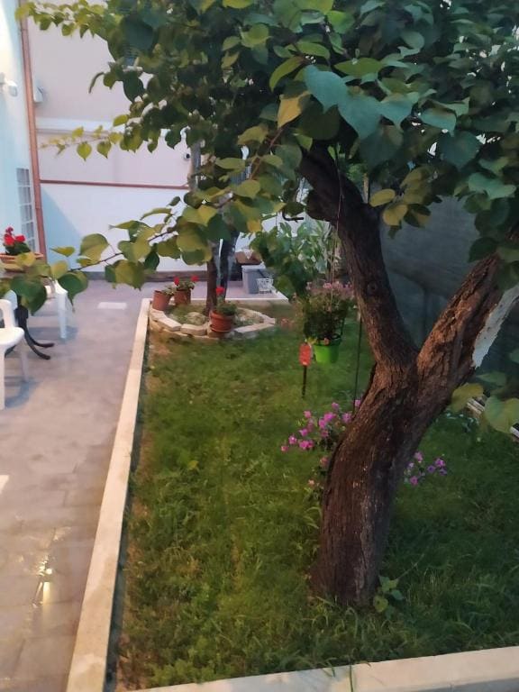 B&B La Scalina - Κύρια προβολή