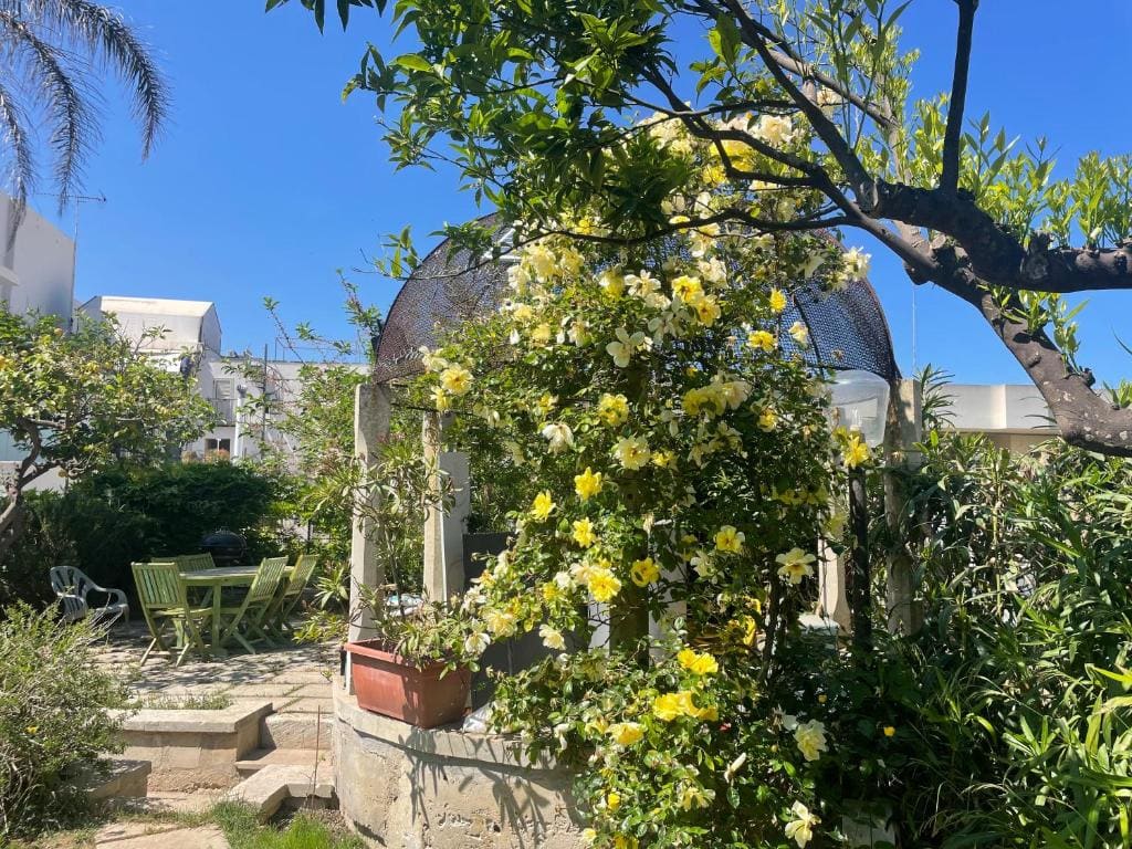 B&b Ophelia - View 6
