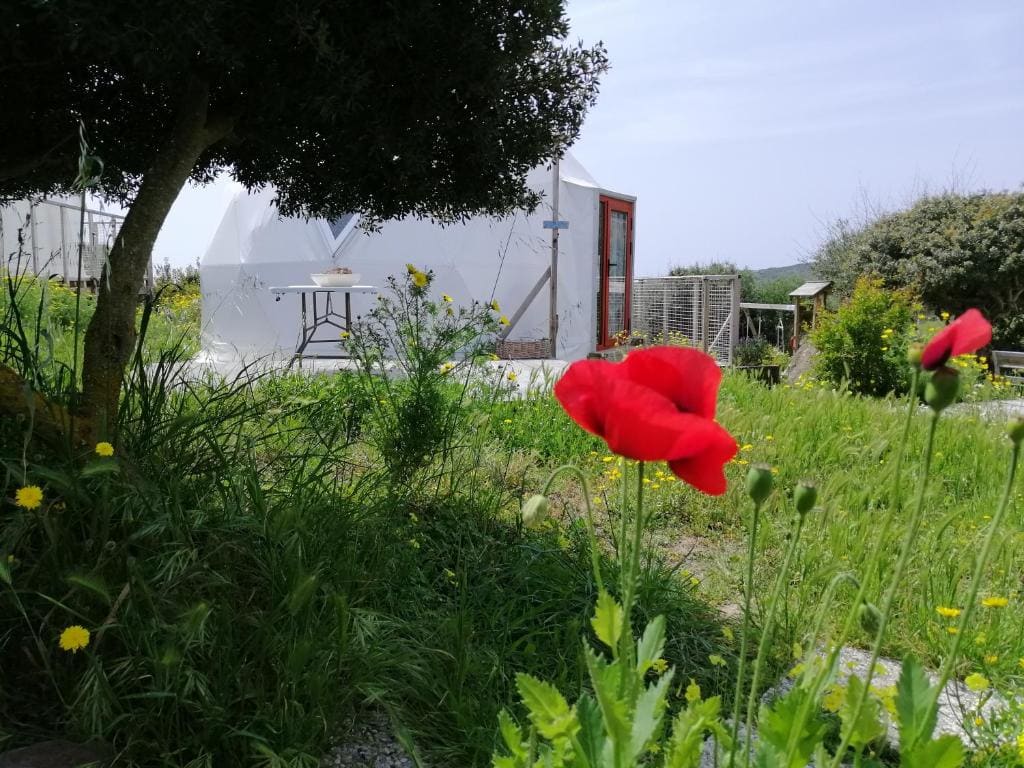 B&B Glamping Semaforo Capo Sperone - व्यू 6