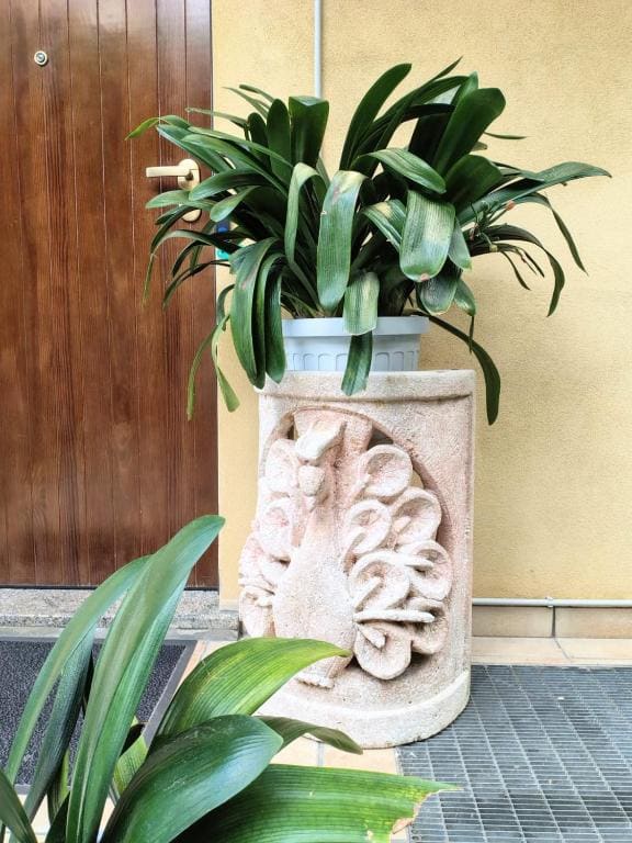 B&B La Delice - View 7