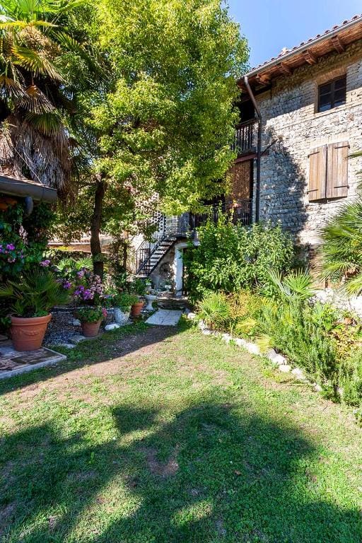 Rovere dalla riva - Main view