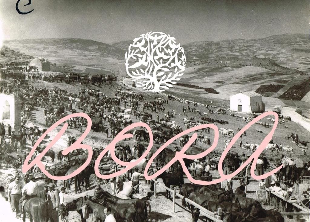 Bora B&B - View 3