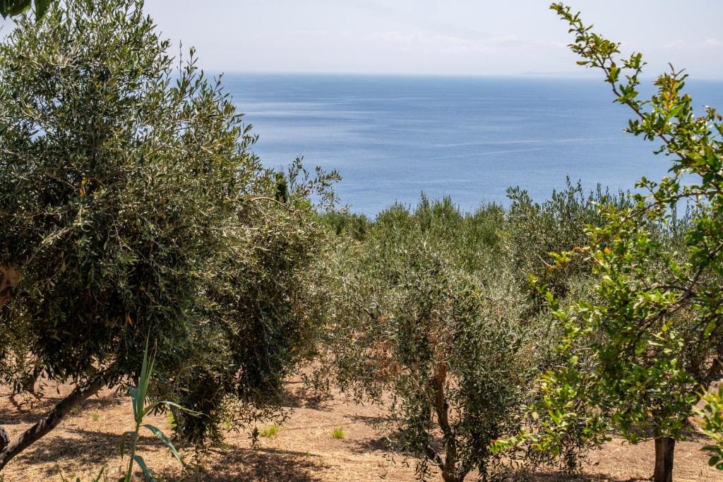 Borgo del Cannitello Romantic Boutique Resort - View 3