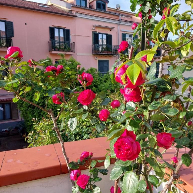 Borgo P Palazzo Catone - View 5