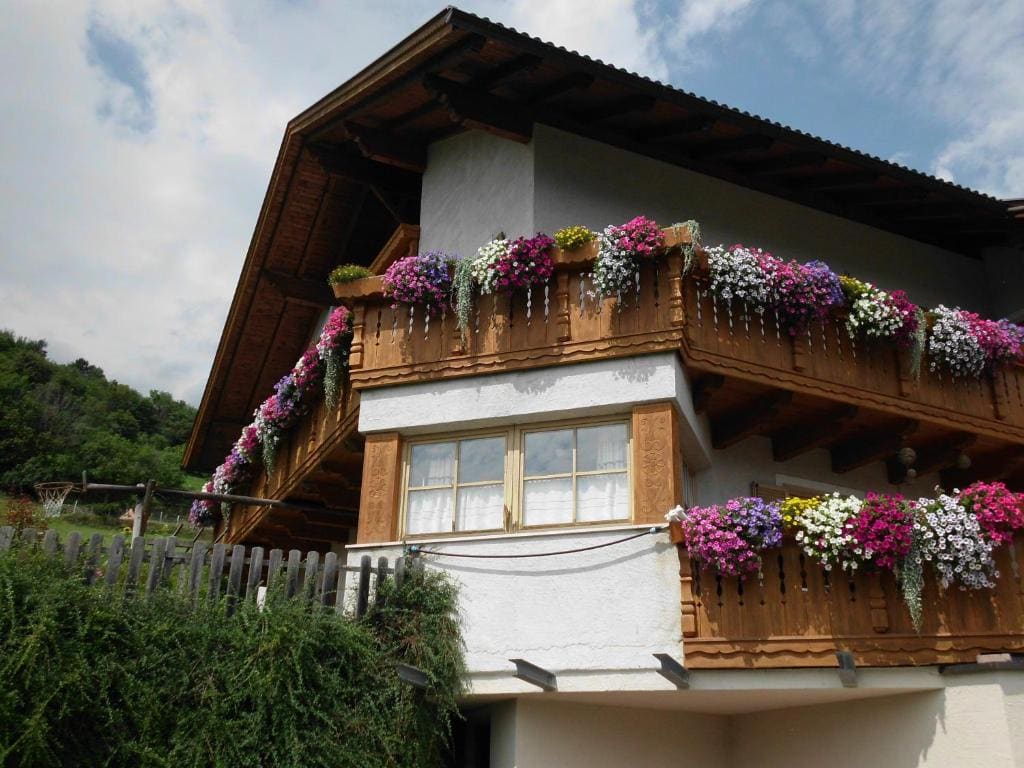 B&B Brunnerhof - View 6