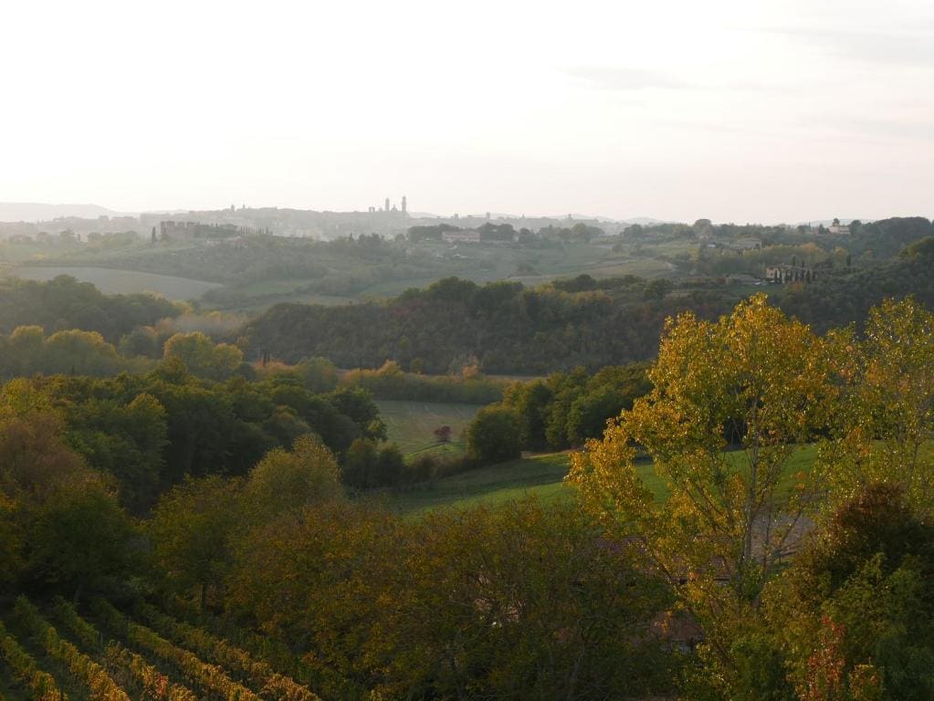 Ca' Bianca Tuscany Relais - View 4
